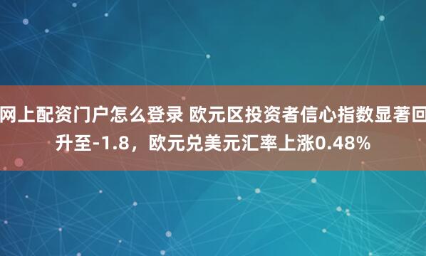 网上配资门户怎么登录 欧元区投资者信心指数显著回升至-1.8，欧元兑美元汇率上涨0.48%