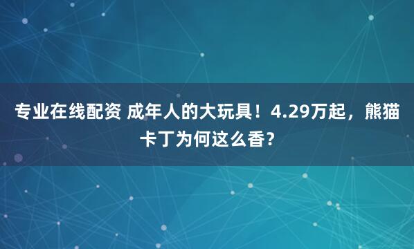 专业在线配资 成年人的大玩具！4.29万起，熊猫卡丁为何这么香？